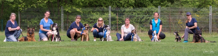 Rally Obedience Turnier am 22.04.2018